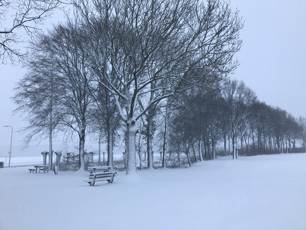Appartementen De Zegelskoel Heijenrath エクステリア 写真