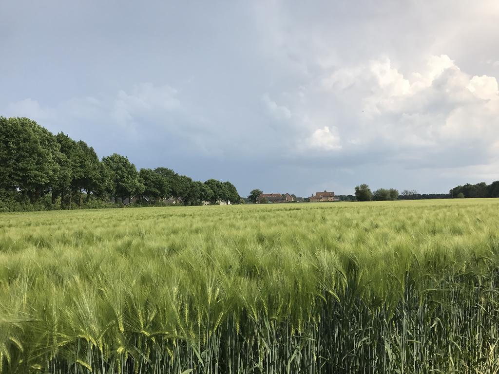 Appartementen De Zegelskoel Heijenrath エクステリア 写真