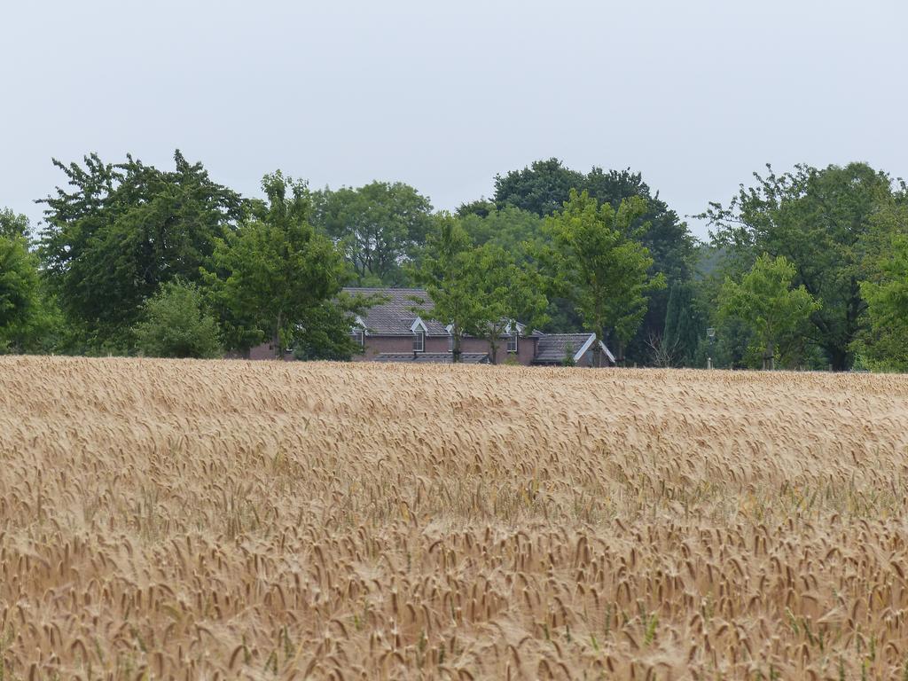 Appartementen De Zegelskoel Heijenrath エクステリア 写真