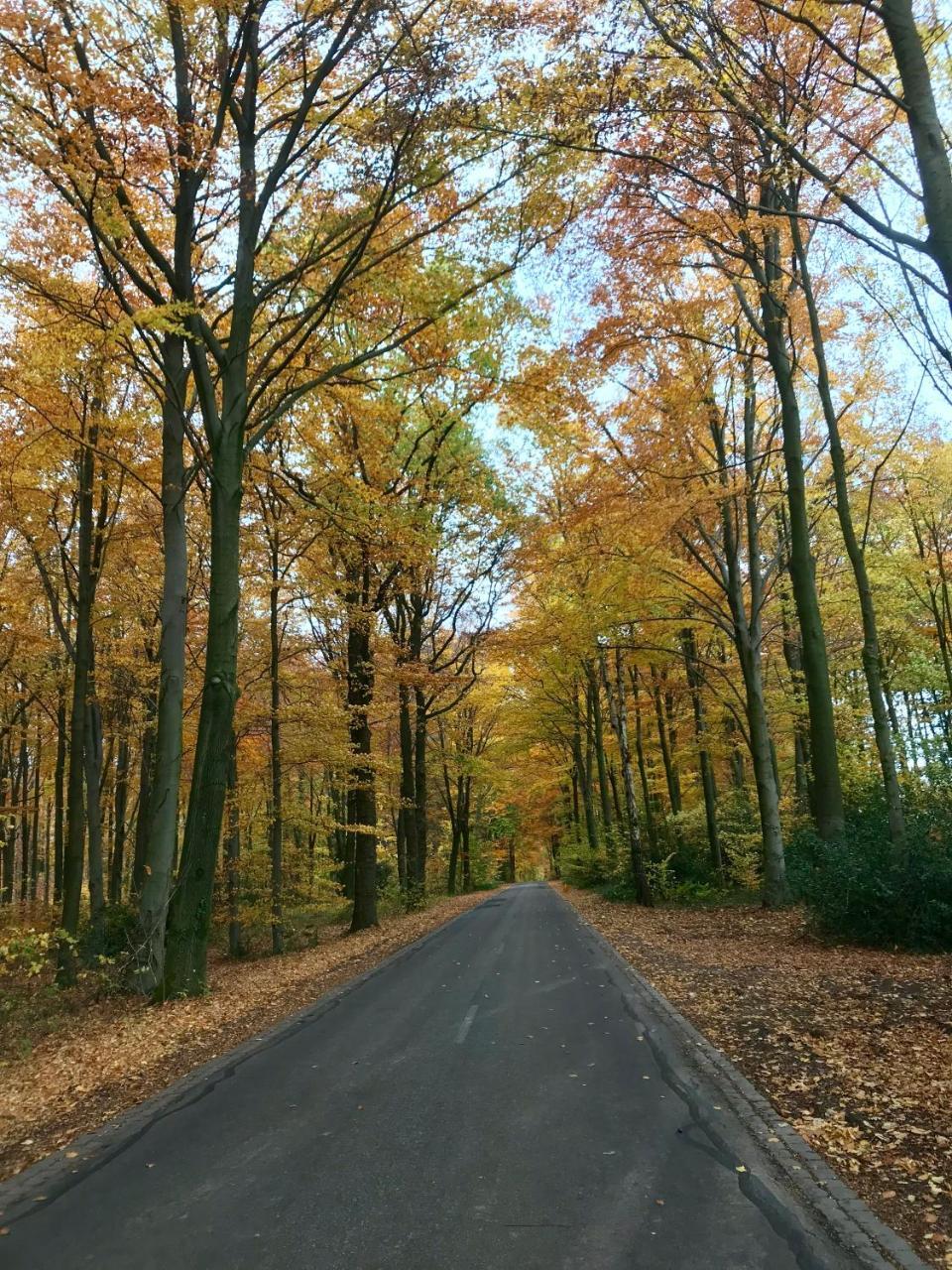 Appartementen De Zegelskoel Heijenrath エクステリア 写真